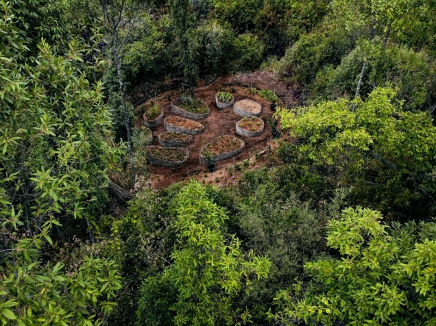 ogród naturalistyczny