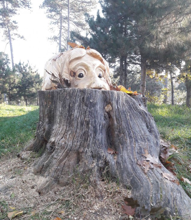 Rzeźba w starych pniach drzew