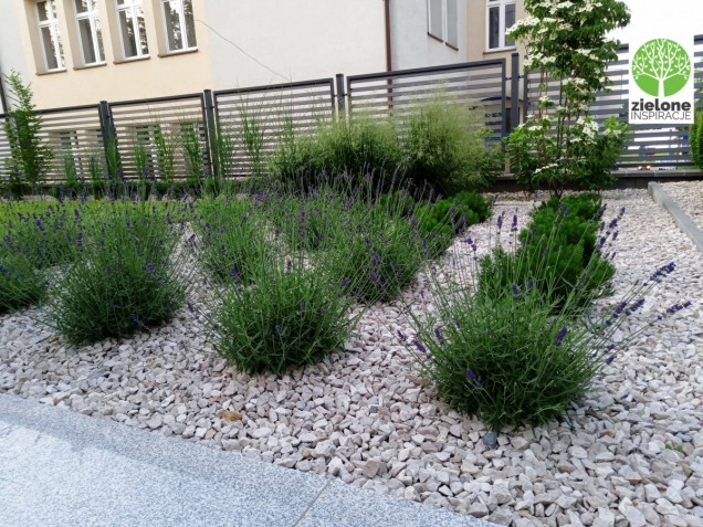 Zielone inspiracje, ogród