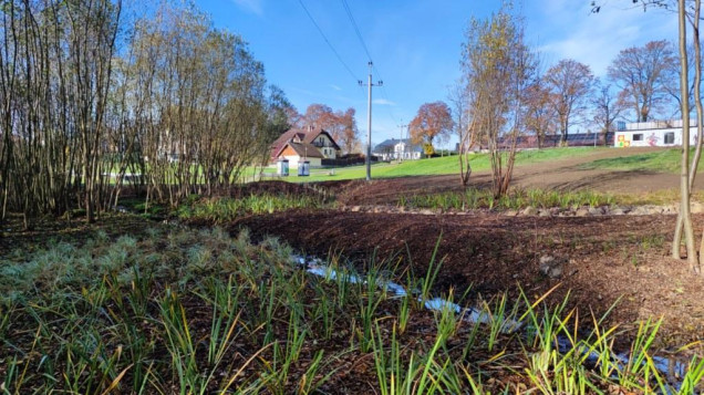 Naturalistyczny ogród deszczowy w Szczytnej