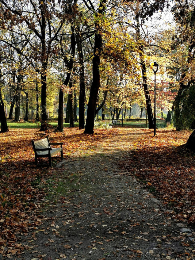 Rewitalizacja zespołu pałacowo-parkowego w Lewkowie