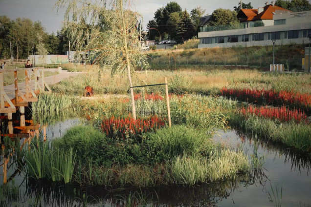 Niepołomickie Błonia: wyjątkowy park nad Wisłą