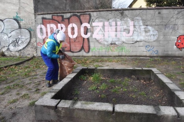 Ogrody kieszonkowe w Zielonej Górze
