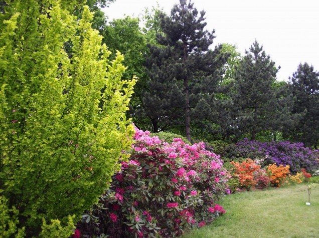 ogród botaniczny Powsin  