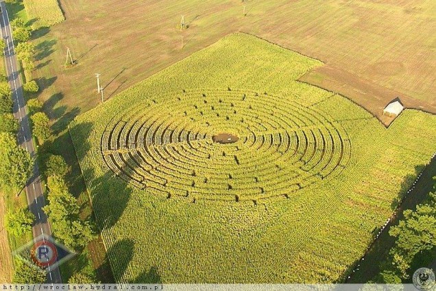 land art, pole kukurydzy 