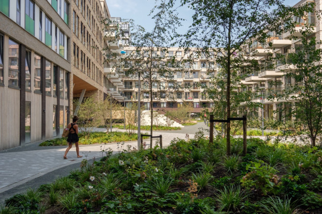 Kampus miejski Lieven w Amsterdamie