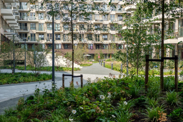 Kampus miejski Lieven w Amsterdamie