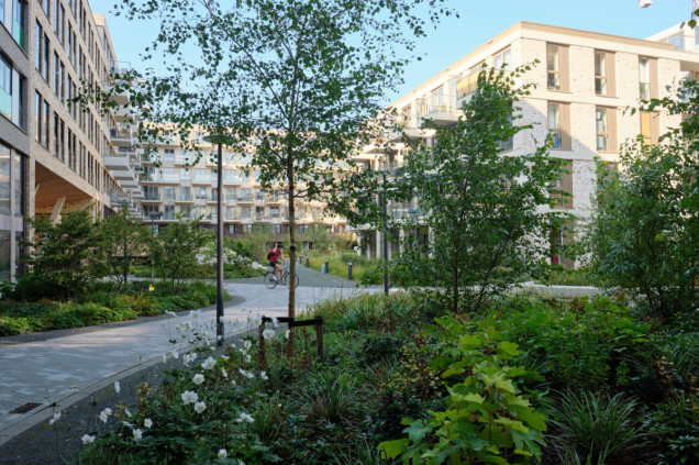 Kampus miejski Lieven w Amsterdamie