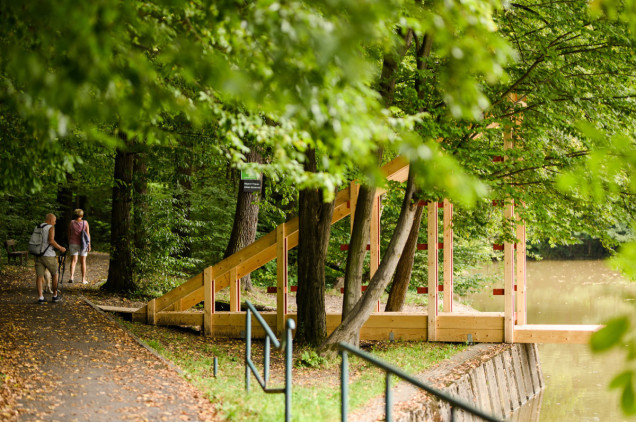Mood for wood 2022- Cieszyn - relacja z warsztatów