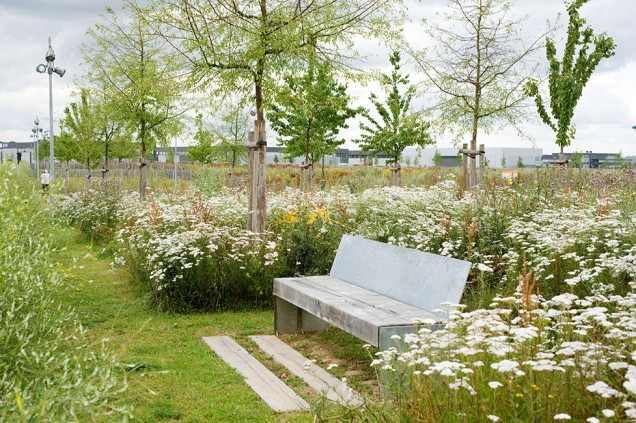 Naturalny Park Mont-Evrin