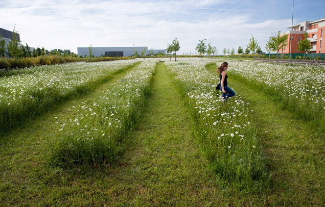 Naturalny Park Mont-Evrin