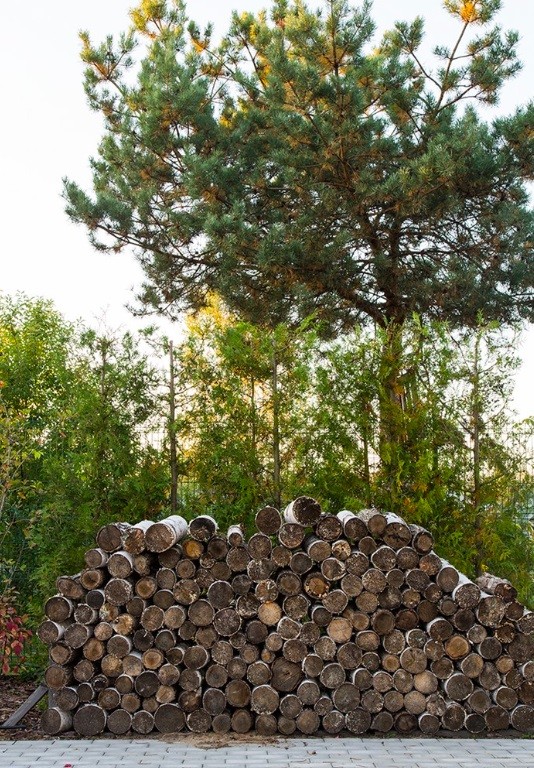 Ogród naturalny 