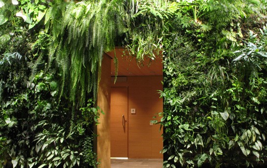 ogród wertykalny