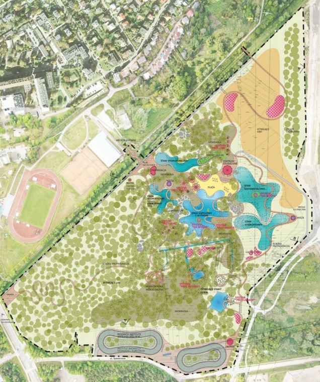 Projekt mokradeł miejskich Stalowa Wola
