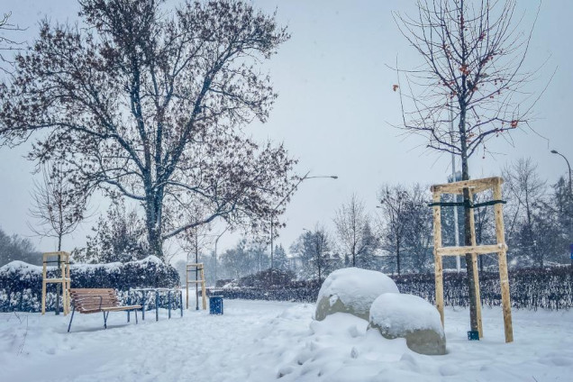 Nowy park kieszonkowy na warszawskim Mokotowie