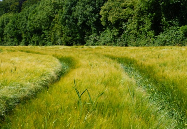 relaks na łonie natury 