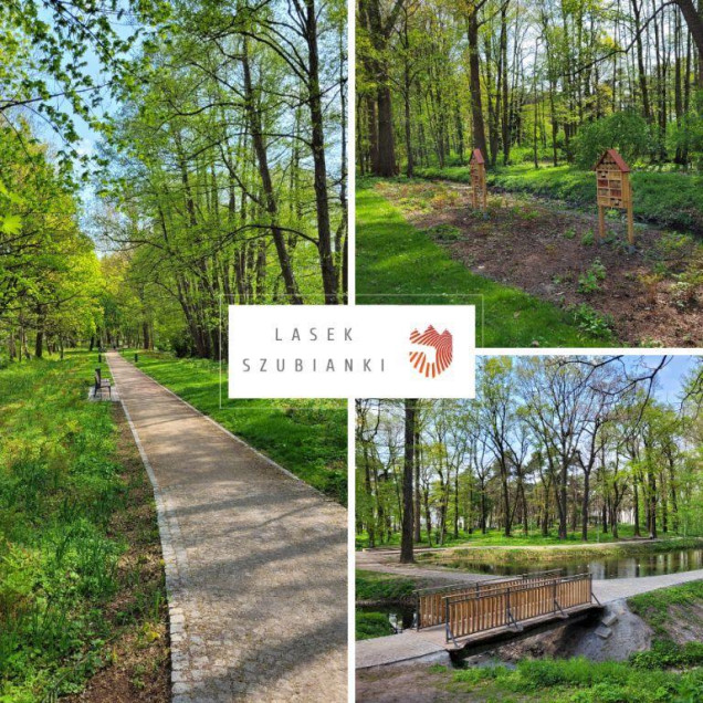 “LASEK SZUBIANKI” – PARK PRZY UL. SZUBIANKI W JAROCINIE