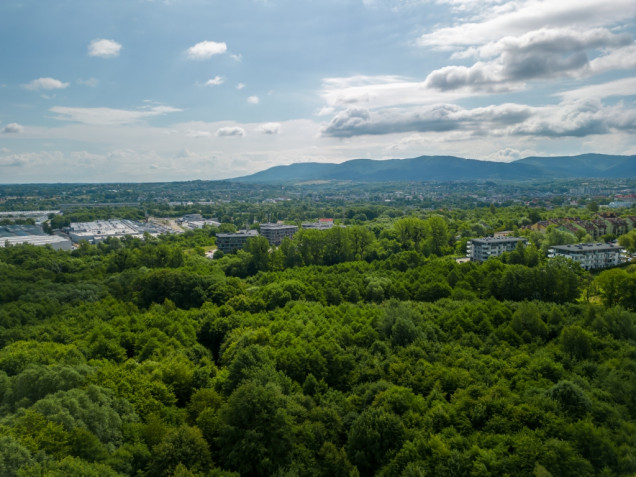 Fot. SARP Bielsko-Biała