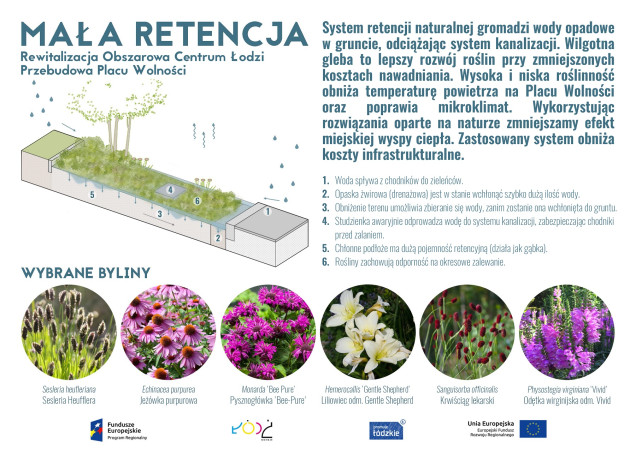 PLac Wolności w Łodzi projekt retencji