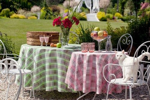 piknik w ogrodzie 
