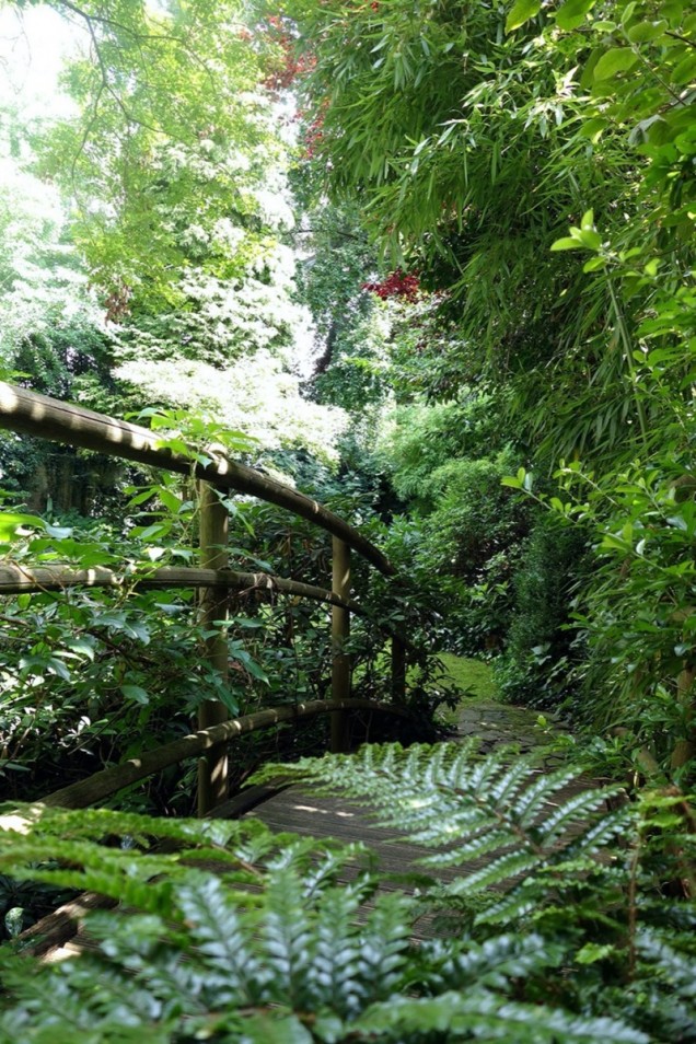 naturalistyczny ogród w Düsseldorfie