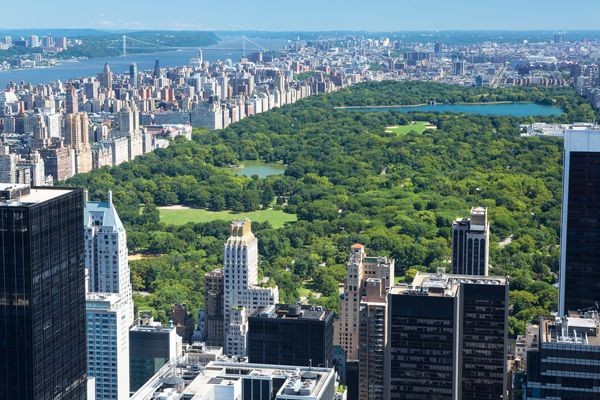 Wyobraź sobie Nowy Jork bez Central Park