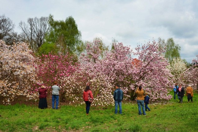ogród botaniczny Powsin  