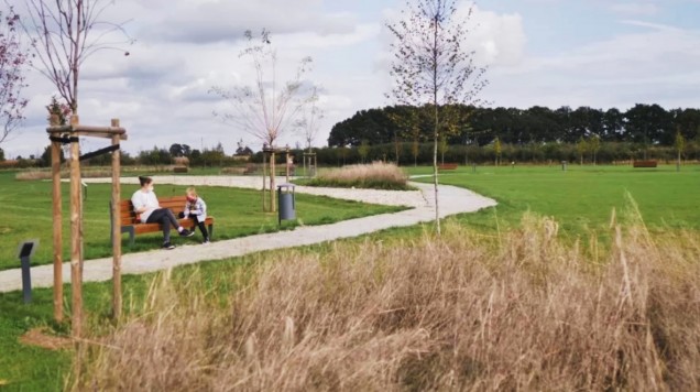 Park wiejski w Niewodnikach