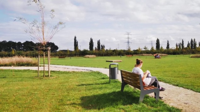 Park wiejski w Niewodnikach