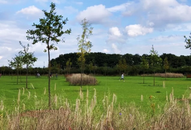 park wiejski w Niewodnikach