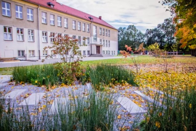 Ogrody retencyjne przy szkole we Wrocławiu