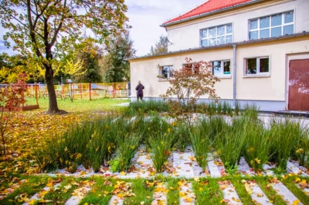ogrody retencyjne przy szkole we Wrocławiu