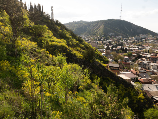 miejski las w Tbilisi, Gruzja (proj.: Ruderal)