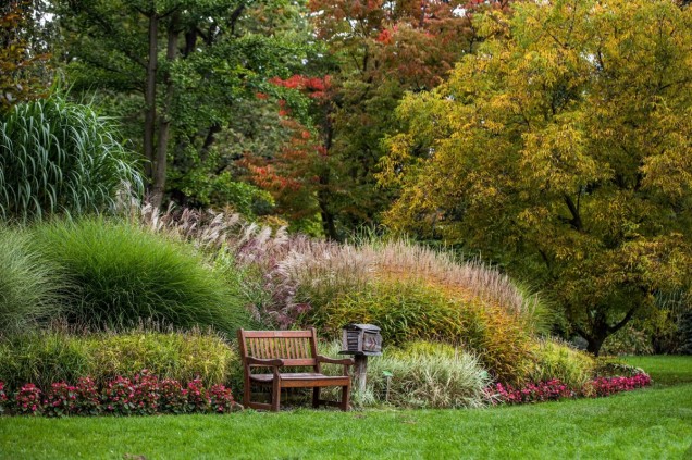 Arboretum Wojsławice