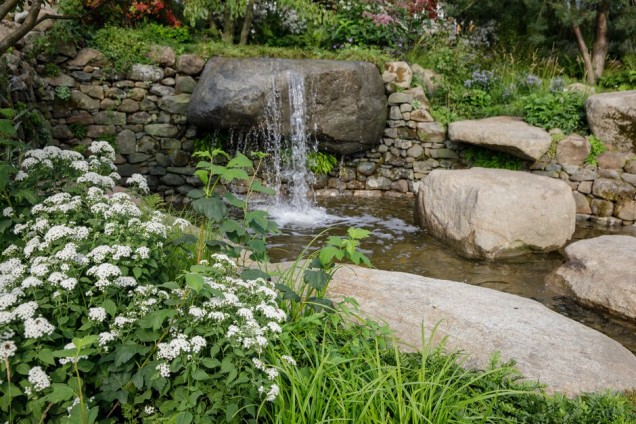 chelsea Flower Show