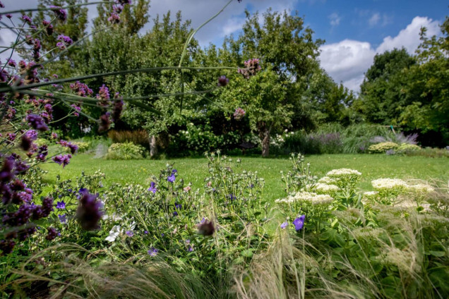 Ogród naturalistyczny na warszawskim Mokotowie
