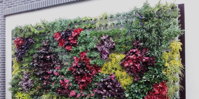 fot. system Pixel Garden -  Garden Spot