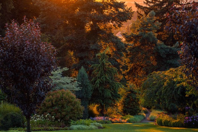 Arboretum Wojsławice Bożena Piotrowska 