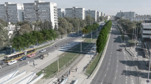 1000 drzew we Wrocławiu – zazielenianie ulicy Legnickiej i Lotniczej