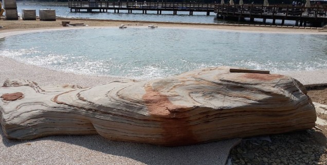 biodesignpools 
