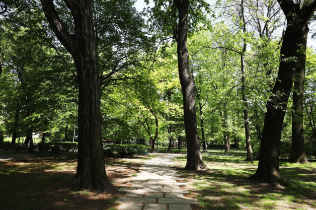 park hutników chorzów