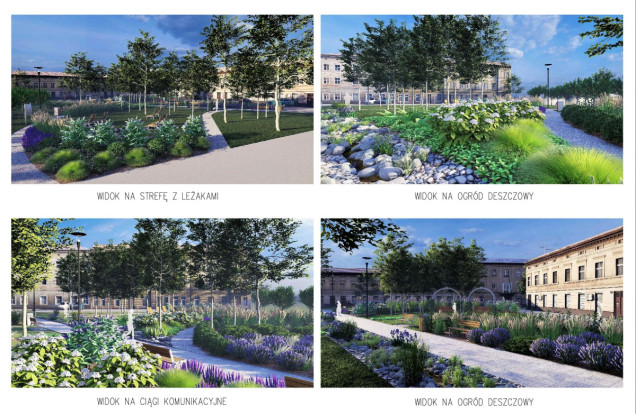 Nowy lawendowy park kieszonkowy w Białymstoku