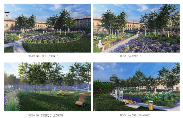 Nowy lawendowy park kieszonkowy w Białymstoku