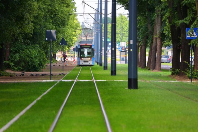 Zielona rewolucja w Łodzi w 2025 roku