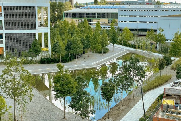 zielona przestrzeń miejska w Zurychu