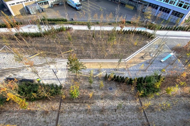 zielona przestrzeń miejska w Zurychu