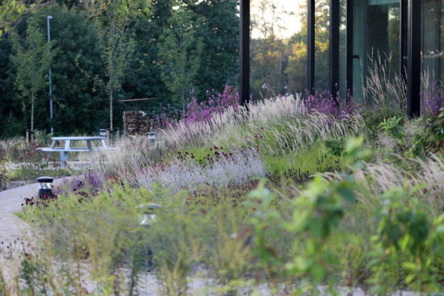 Naturalistyczne rabaty przy duńskim biurowcu