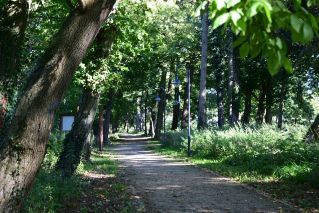 Rewaloryzacja parku podworskiego w zespole przyrodniczo-krajobrazowym w Wojanowie