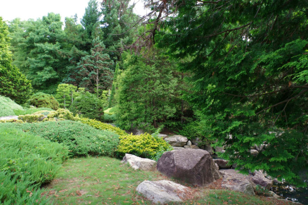 Skalniak na skarpie w ogrodzie https://unsplash.com/photos/a-lush-green-forest-filled-with-lots-of-trees--T3_jYk3B50
