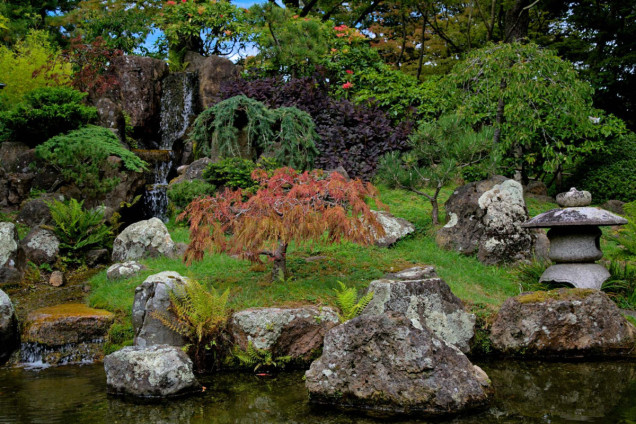 Skalniak przy strumyku https://unsplash.com/photos/a-small-pond-surrounded-by-rocks-and-plants-rQ_teuz9Qs0